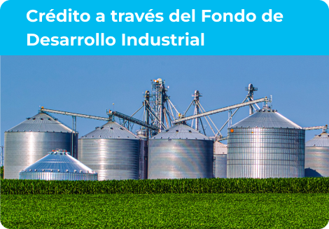 Credito a traves del fondo de desarrollo industrial